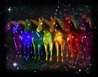 Horses